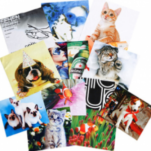 Custom Folders