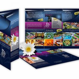 Business Flyers Printing